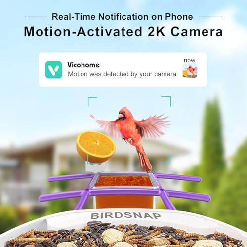 birdsnap® TUC Bird Feeder with Camera 2K HD Live with 32GB Card Auto Detect & Notify AI Identify Camera Birds Feeders Solar Powered Wireless Outdoors Backyard Gift for Mom Dad Birds Lover, 2.4G WiFi by birdsnap - Image 2