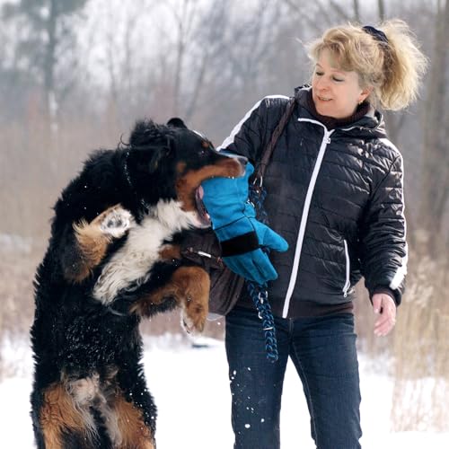 WYYFXY® Bissfeste Handschuhe Tieren, 45cm Katzenhandschuh Dornenfeste Handschuhe Anti Biss Arbeitshandschuhe Rindsleder für Schweißen, Gartenarbeit, Umgang mit Hunden Katzen