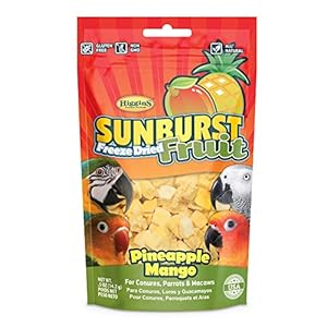 Higgins Sunburst Freeze Dried Fruit Pineapple Mango .5 Ounces