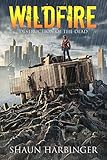 Wildfire: Destruction of the Dead (Undead Rain Book 4)