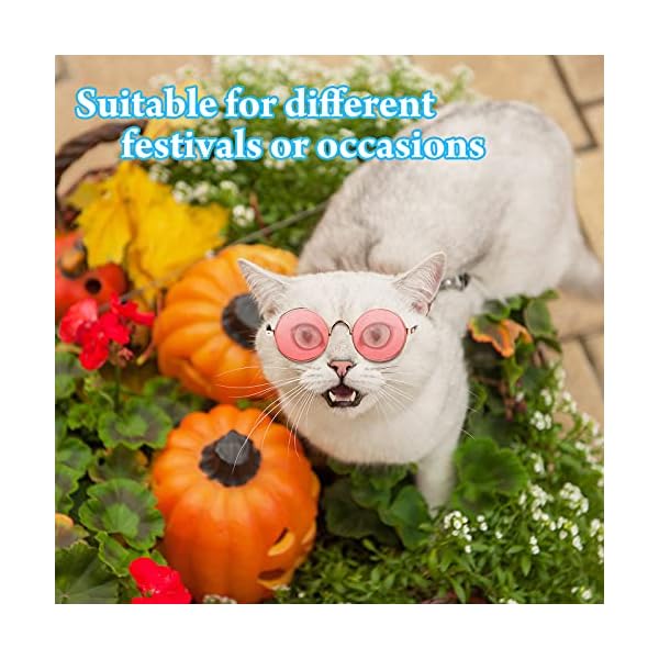 15 pieces small pet sunglasses retro dog sunglasses round metal puppy sunglasses cosplay glasses photo props eyewear for cats and small to medium sized dogs - image 5