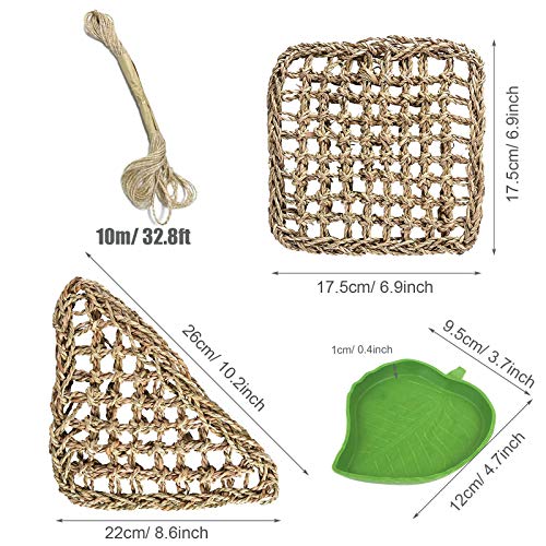 Allazone 15 Pz Piante per Rettili e Anfibi