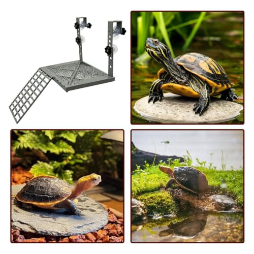 Muelle de tortugas rampa reptiles terrarios estanques acuario 5