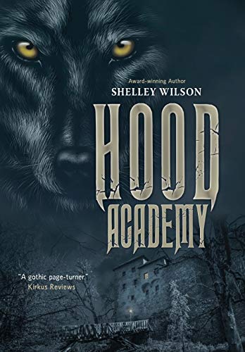 Hood Academy view 2