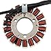 STATOOK Magneto Stator 18 Coil Corrosion and Moisture Resistance Electric Motor Stator Replacement Par Compatible with CBF250 CBX250 2004 2005 2006 2007 2008 2009 2010 CBF 250 CBX 250 Xr250 Tornado