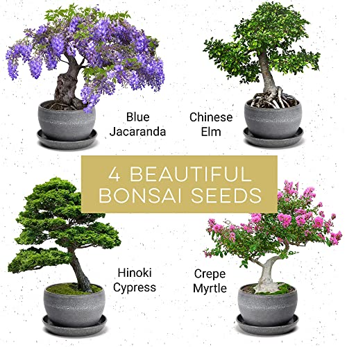 Bonsai-Tree-Kit--Plant-4-Species-of-Bonsai-Tree-w-Our-All-in-One-Plant-Kit-Bonsai-Pots-Peat-Pellets-Including-a-Bonus-in-Depth-Grow-Guide-by-Home-Grown-Great-Gardening-Gifts-for-Women-and-Men