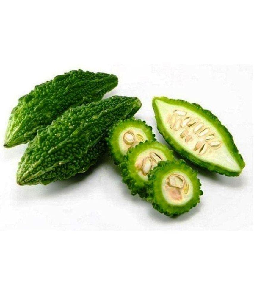 Iris Hybrid Vegetable Seeds Bitter Gourd with Instruction Manual (B099F536VB) Amazon Price History, Amazon Price Tracker