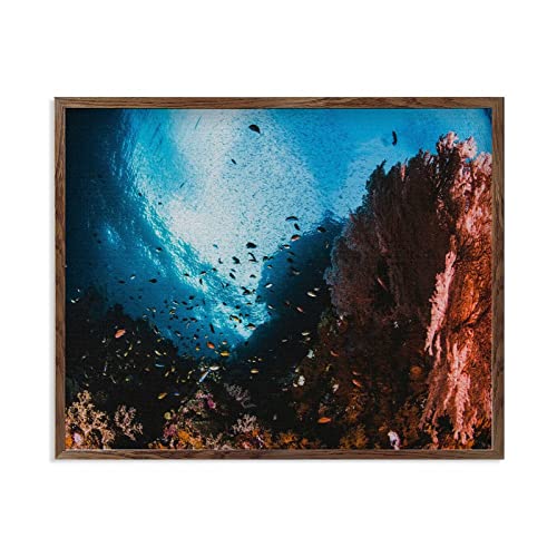 Plaque murale en bois avec poissons de corail, le cadeau de ferme vintage parfait