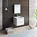 Fresca Tuscany 24" Glossy White Wall Hung Modern Bathroom Vanity w/Medicine Cabinet