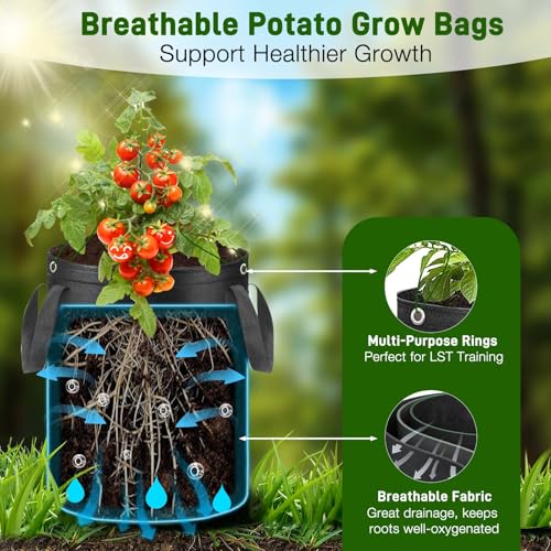 4 Pack 10 Gal LST Window Bags