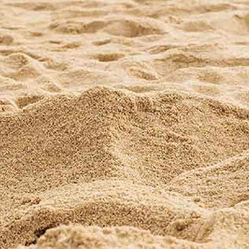 MS International -Organic Natural 100% Pure beach Sand for Gardening Ideal for Aquarium Décor .pack of 1 kg (B0CCMPNJV6) Amazon Price History, Amazon Price Tracker