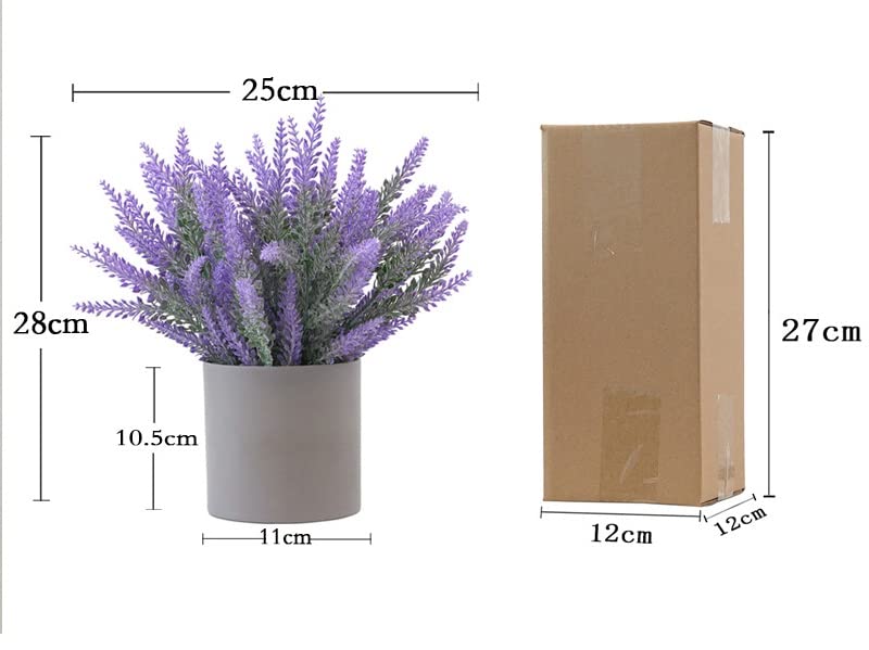 Mejores review On-line Lavanda planta precio tabla con los diez mejores. 24 Imagen adicional