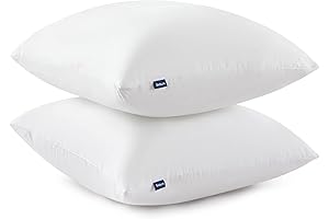 Bedsure 20 x 20 Inches Throw Pillow Insert Set of 2