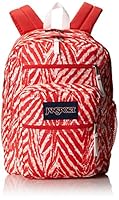 Algopix Similar Product 11 - JanSport Big Student Coral Peaches Wild