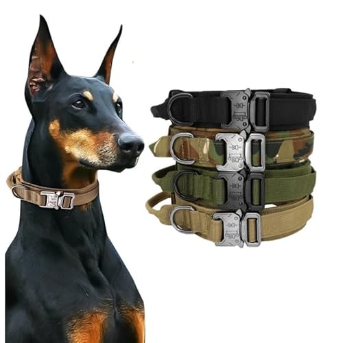   ^ ^ ^ ~^[ x R nh t 900DiC p TCY\ }WbNXebJ[ plt [jO (ubN, XL)