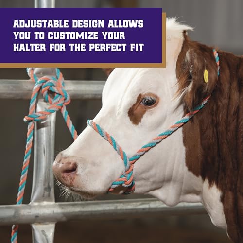 Image of Weaver Livestock Braided Poly Rope Cattle Halter, Adjustable, Modern Style Cow Calf Halter, Livestock Handling Equipment for Showing, Coral /Gray /Teal