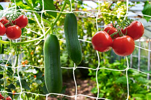 KINGLAKE GARDEN Pflanzen-Rankgitter, 4,6 m x 1,5 m, robustes Rankgitter, Netz, Gartennetz mit quadratischem Netz für Kletterpflanzen, Gemüse, Obst, Blumen Cover
