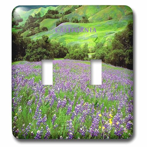 Interrupteur double bascule 3dRose lsp_62078_2 collines de Cambria