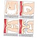 COLLBATH Caliper Kit 2 Skinfold Calipers Body Measuring Tape Fat Measurer Plastic Easy to Use