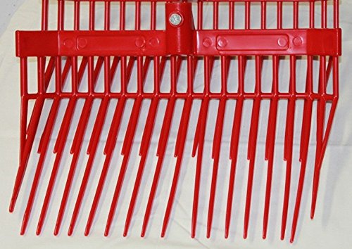 An Hlth 36700501 Future Fork Wood Hand