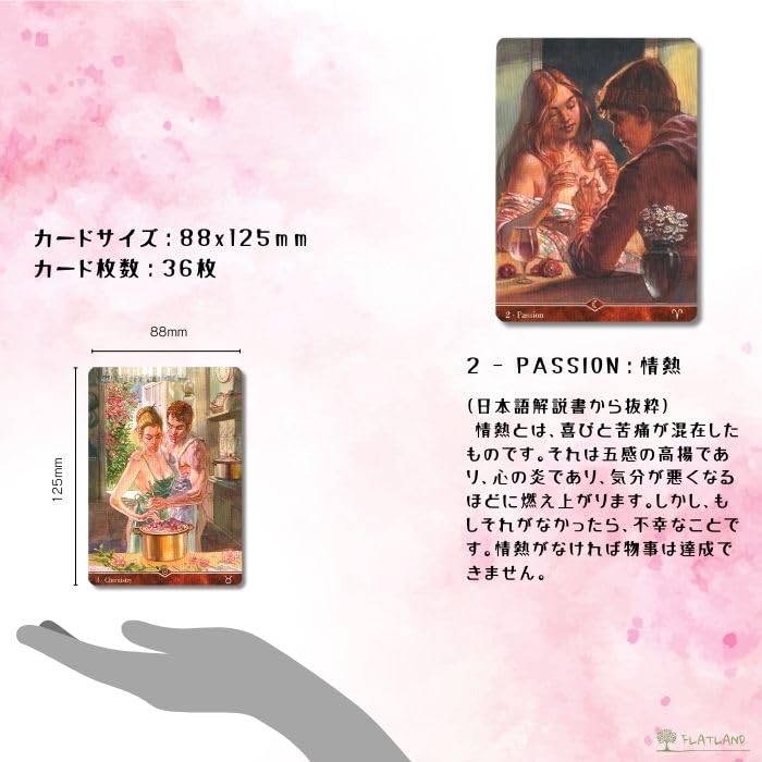Amazon.co.jp: Sexual Magic Oracle Card, Japanese Instruction