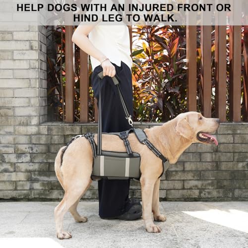 COODEO Mobility Hundegeschirr zum Heben, Notfall-Trageschlaufe, Haustier-Heckbeinstütze, Rehabilitationsweste, Hundetragetasche für ältere Hunde, Gelenkverletzungen, Arthritis (Militärgrün, M)