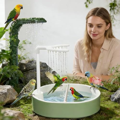 Bain d'oiseau pour cage USB automatique gris du Gabon - 3