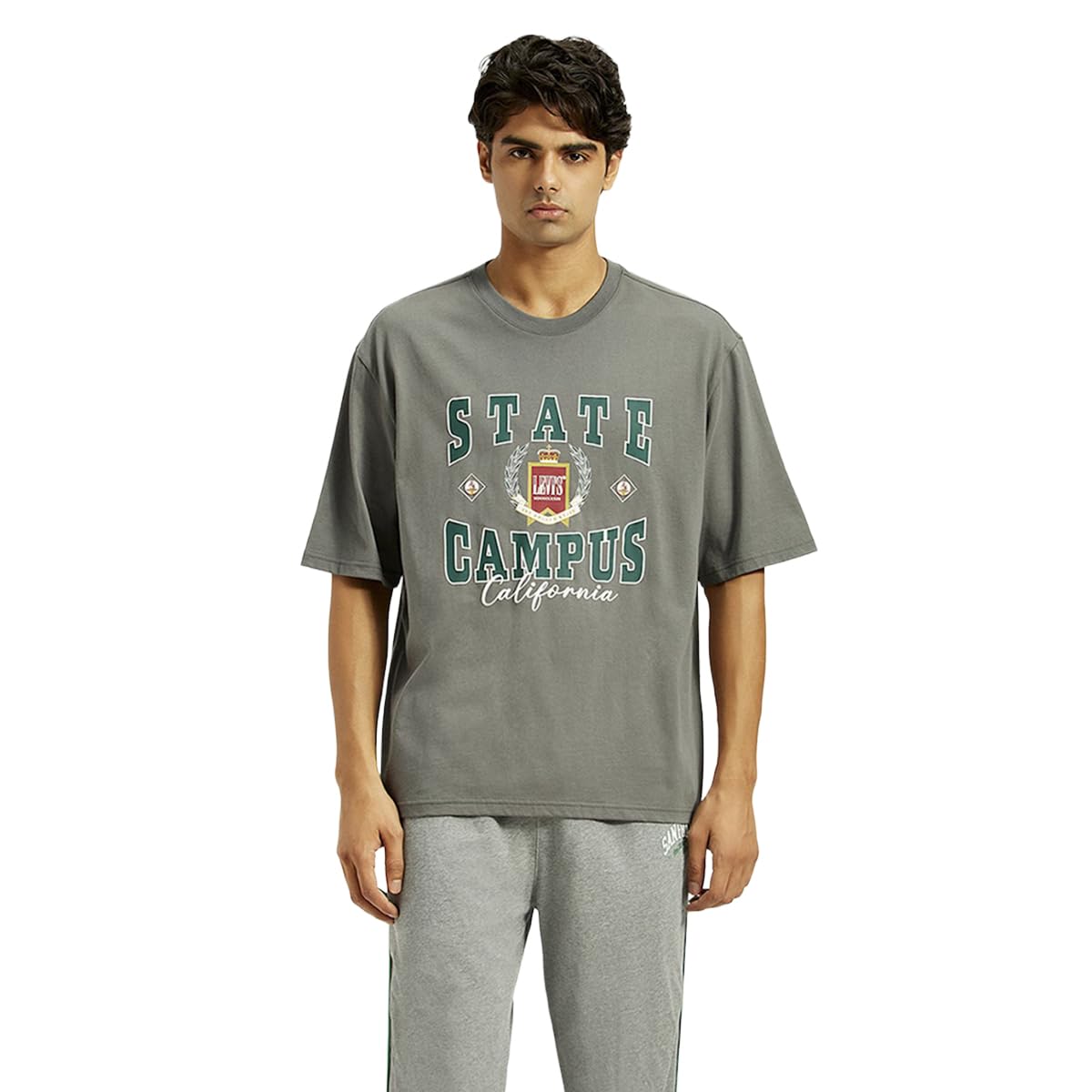 levi's Men's Printed Relaxed Fit T-Shirt-picture-24