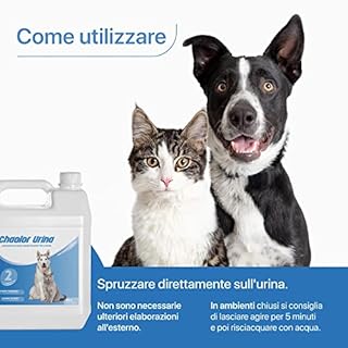 Detergente Enzimatico elimina odori pipi cane / gatto | Spray Enzimatico elimina odore urina cane e gatto Detergente Enzimatico per tessuti mobili tappeti parete Detergente enzimatico ciao odori 5L