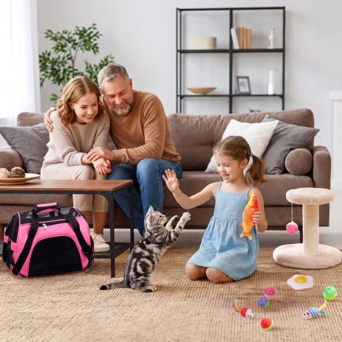 Kitten Starter Kit - 37 Pcs of Cat Essentials for Indoor Kittens - Image 3