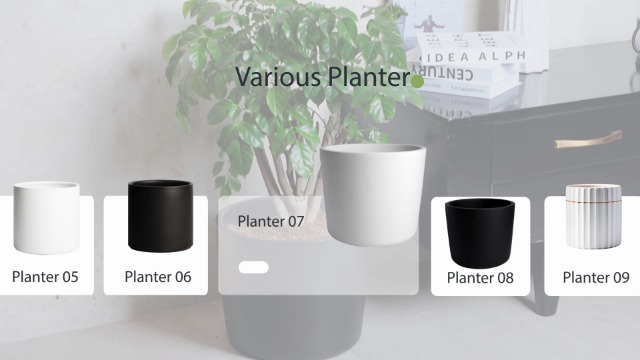 Amazon.com : Mozing Ceramic Plant Pots Indoor - Garden Planter Pot