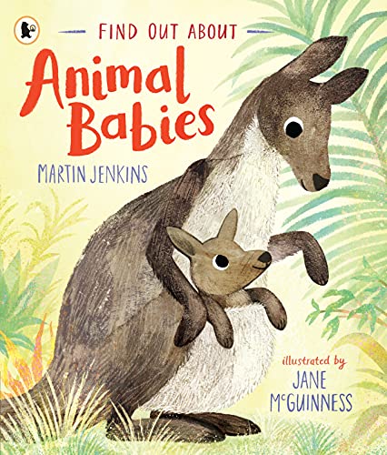 Image of Find Out About ... Animal Babies