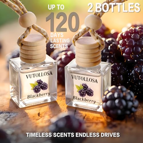 Image of 2-Pack Car Air Fresheners, Car Deodorizer, Blackberry Scented Air Freshener Long Lasting Hanging Car Air Freshener for Men and Women, Car Scent Diffuser by VUTOLLOSA