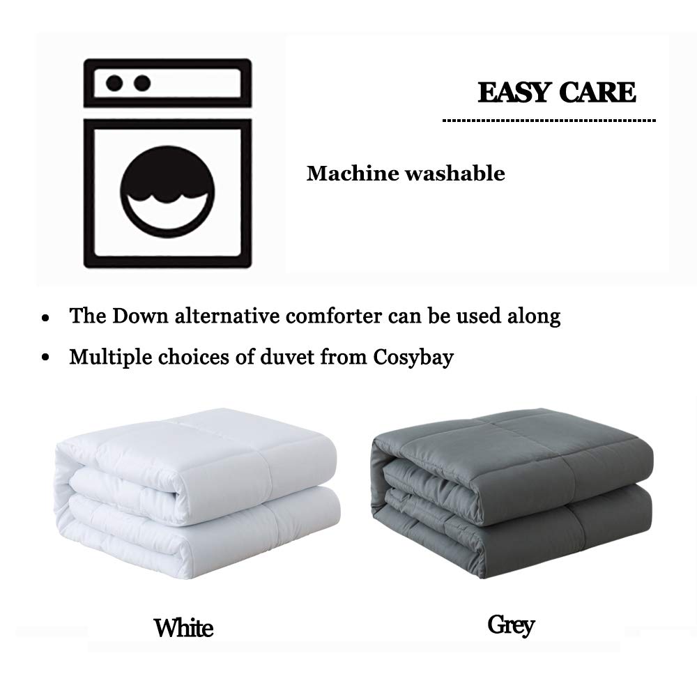 https://m.media-amazon.com/images/I/51x-aD0loGL.jpg
