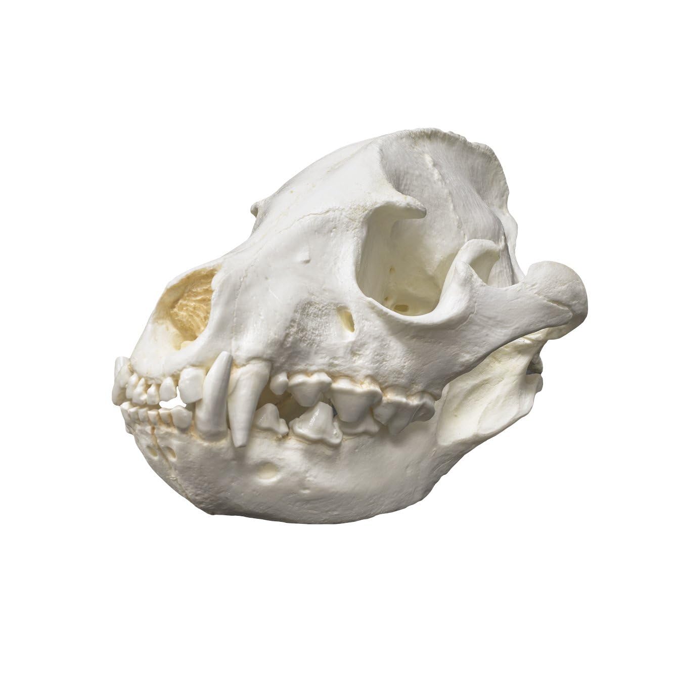 product_img5