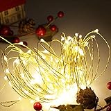 クリスマス イルミネーション コンセント式 【ジュエリー100球 シャンパンゴールド】LED クリスマスツリー 電飾 led 防水加工 防雨型 ストリングライト おしゃれ 北欧 (シャンパンゴールド, ジュエリー100球)