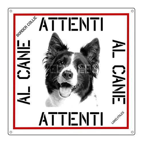 LOVELYTILES Border Collie Targa Cartello PVC