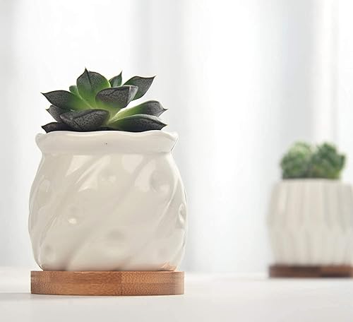 Miniatura 7 de B SEPOR Juego de 6 macetas de porcelana simples blancas para macetas pequeñas, cactus suculento para bebé, con drenaje y platillo para decoración