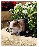 dekoration gartenfiguren skulpturen ▶ Nach mehrmaliger Verarbeitung ist das Produkt stark verschleißfest und korrosionsbeständig.