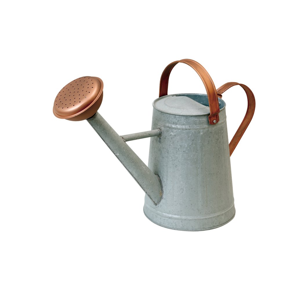 アンティーク　ジョーロ Amazon | 東洋石創 ガーデン用品 オーナメント ジョウロ(AGED) 81529