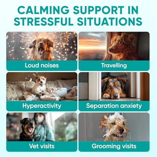 Image of Hemp Calming Chews for Dogs - Dog Calming Chews for Anxiety Relief, Stress, Separation, Fireworks, Thunder, Travel, Vet Visits - USA Product - 120 Soft Treats with Melatonin, Chamomile, Passion Flower