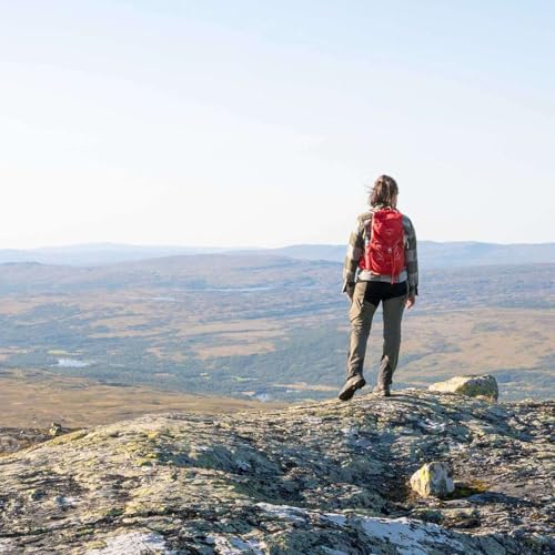 ViRØstPodden - Reiselivet i Røros og Østerdalen cover art