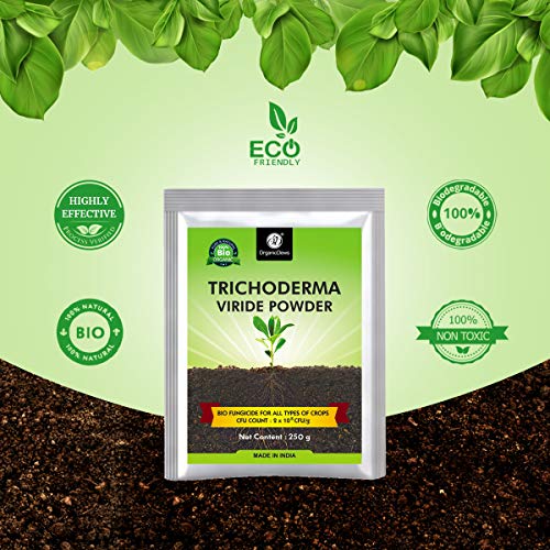 Image of OrganicDews Trichoderma Viride Powder 250 g (2 x 10⁸ CFU per Gram) Bio Fungicide For Plants Controls Root /Stem Rot