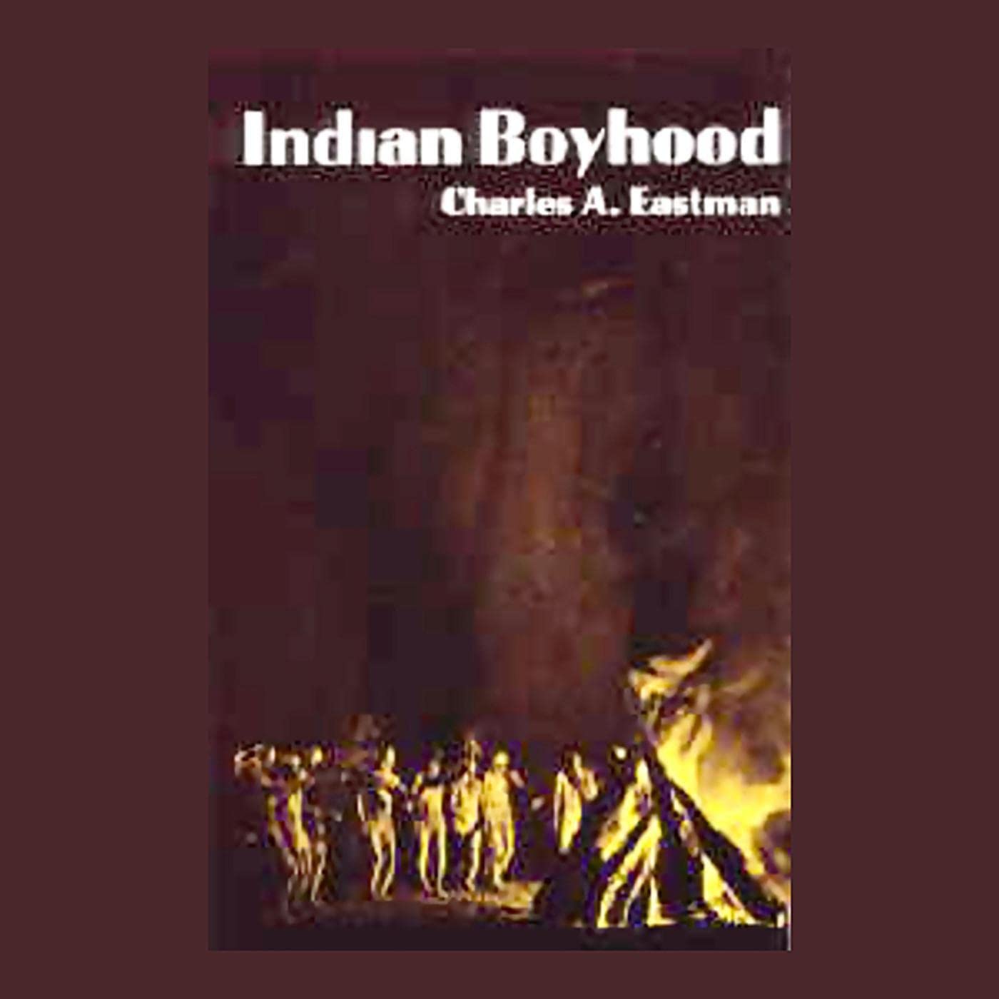 Cover art for Indian Boyhood