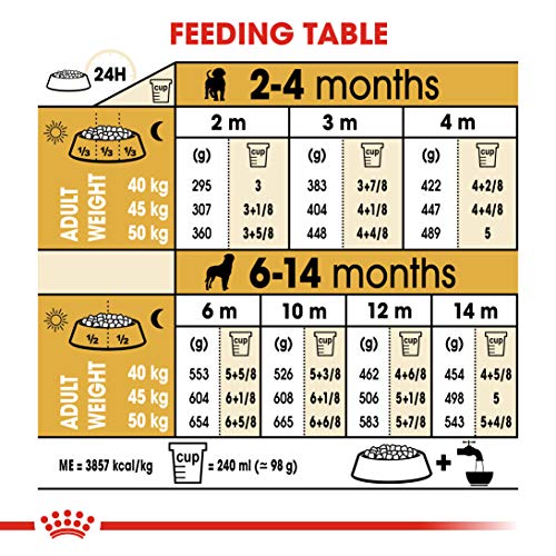 Royal Canin Rottweiler 31 Junior 3 kg, 1er Pack (1 x 3 kg)