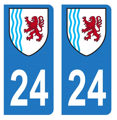 Coppia Adesivi Per Targa Auto Dipartimento 21 | Conte D'Oro Su Nero | Fabbricazione Francese, 45x100 Mm