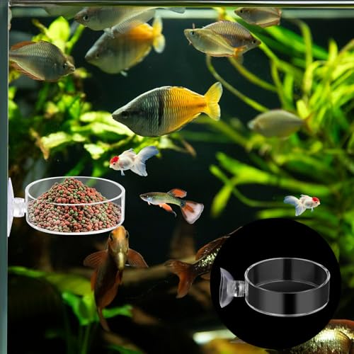 Image of 2Pcs Aquarium Shrimp Feeder Dish with Suction 75mm Round Clear Fish Tank Food Tray Container Glass Fish Tank Feeding Bowls for Aquarium Tanks Feeding Tray