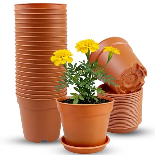 TEYIAN 24pcs 10cm Small Plant Pots Premium Plastic Flower Nursery Pots Herb Pot Seed Seedling Pots with Drainage Hole and Tray for Succulent Flowers Cactus All House Plants