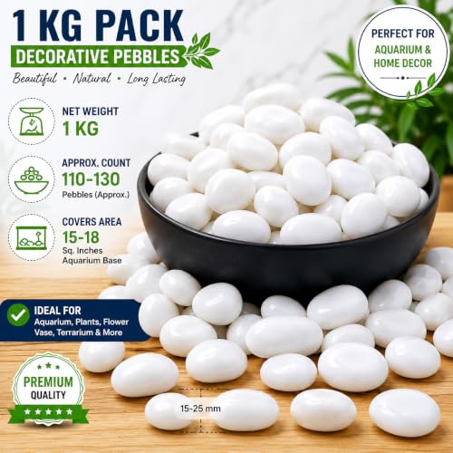 Image of Bindian Decorative Pebble Stone, Multicolour, Natural Stone, Smooth & Polished, for Aquarium, Garden, Plant Pot, Fountain Decor (2 Kg, White)