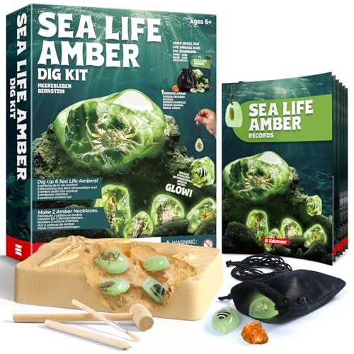 EDUMAN Kit de Excavación de Ámbar, Juego de Excavación de Fósiles y Minerales, Juguetes Educativos de Ciencia, Regalos para Niños y Niñas a Partir de 6 Años (Animales Marinos)